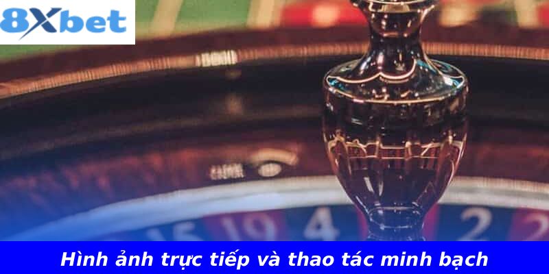Hình ảnh trực tiếp và thao tác minh bạch