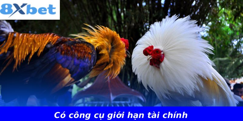 Có công cụ giới hạn tài chính